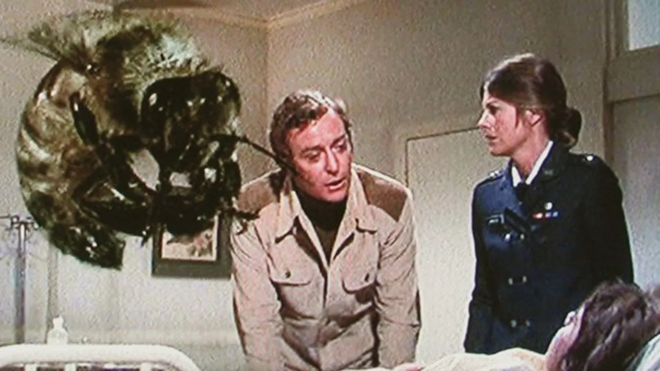 Vadméhek ürítettek Michael Caine-re