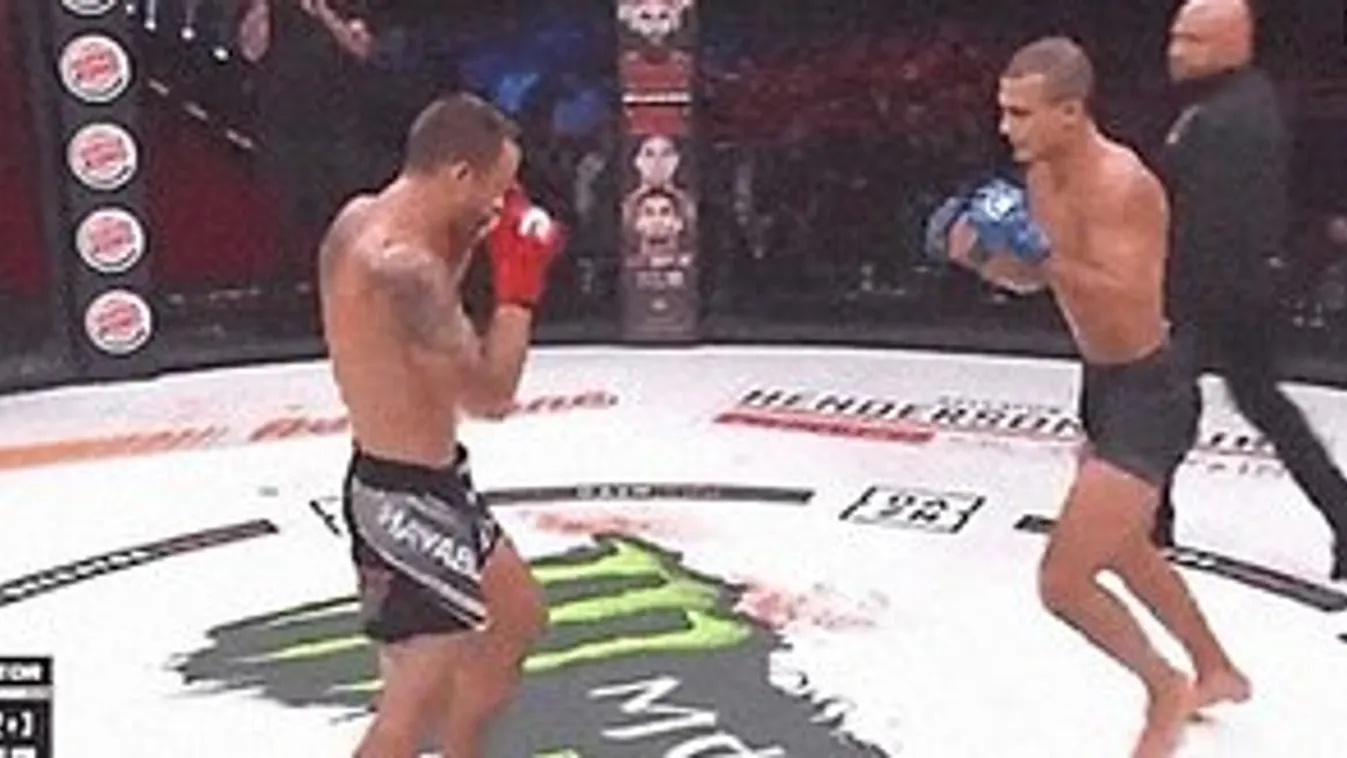 Brutális győzelmet aratott a magyar MMA-harcos - videó