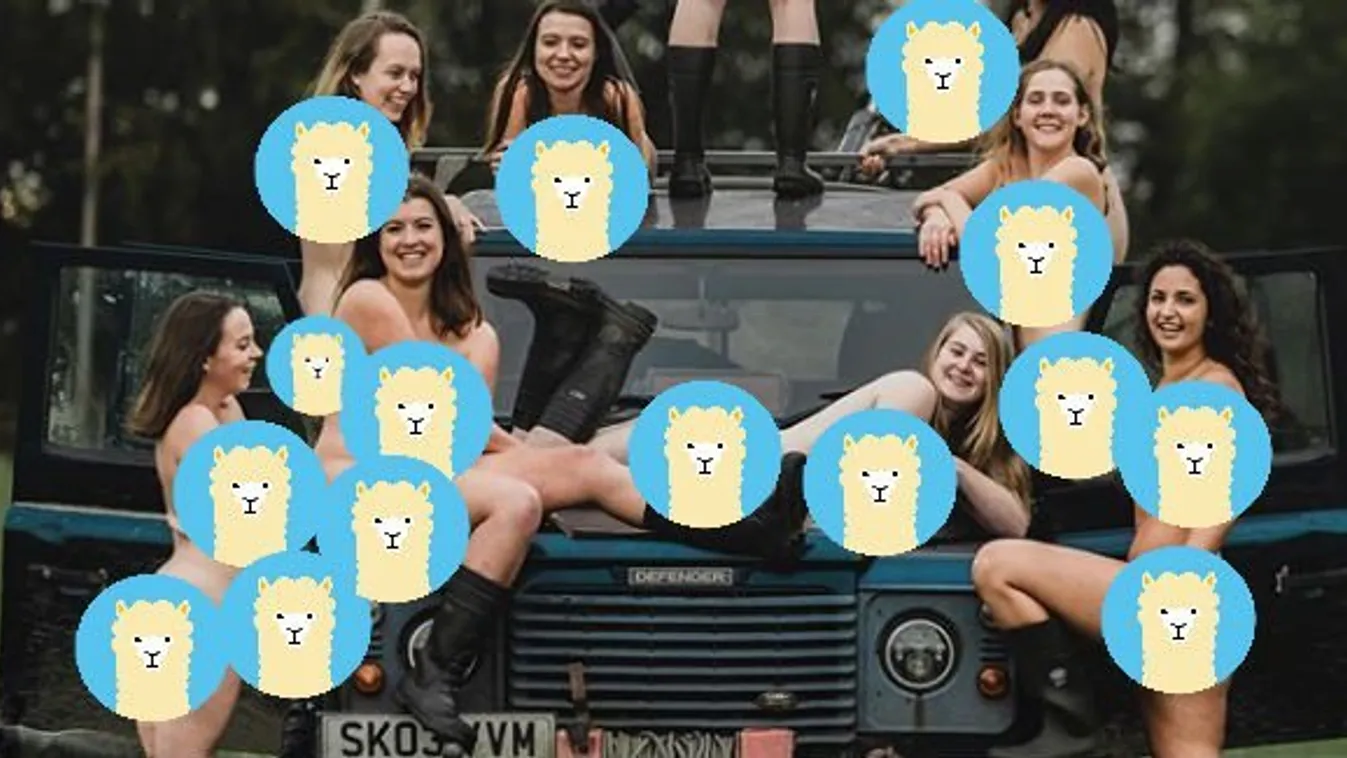 Tömegesen vetkőztek pucérra az egyetemistalányok, nem találja ki, miért tették