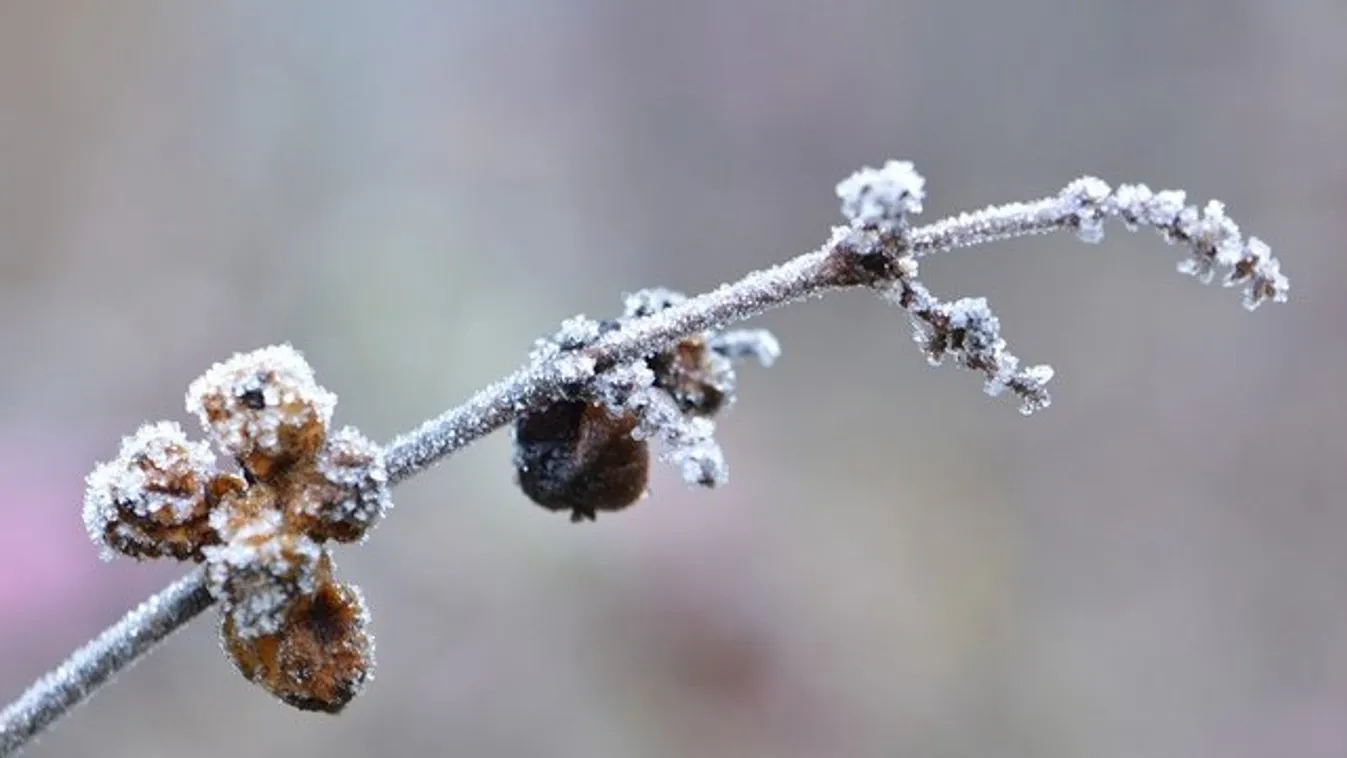 -10 fokban futottak a diósgyőri focisták, megfagyott szakálluk - fotók