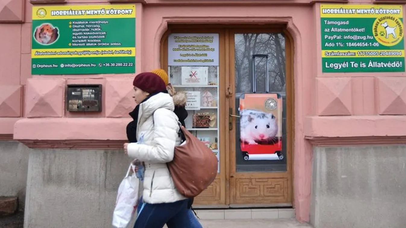 Megunta a kisállatát? Adja le!