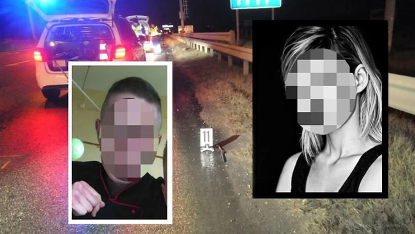 Imádta a száguldást - sokkos állapotban fogták el az M3-as cserbenhagyásos gázolóját