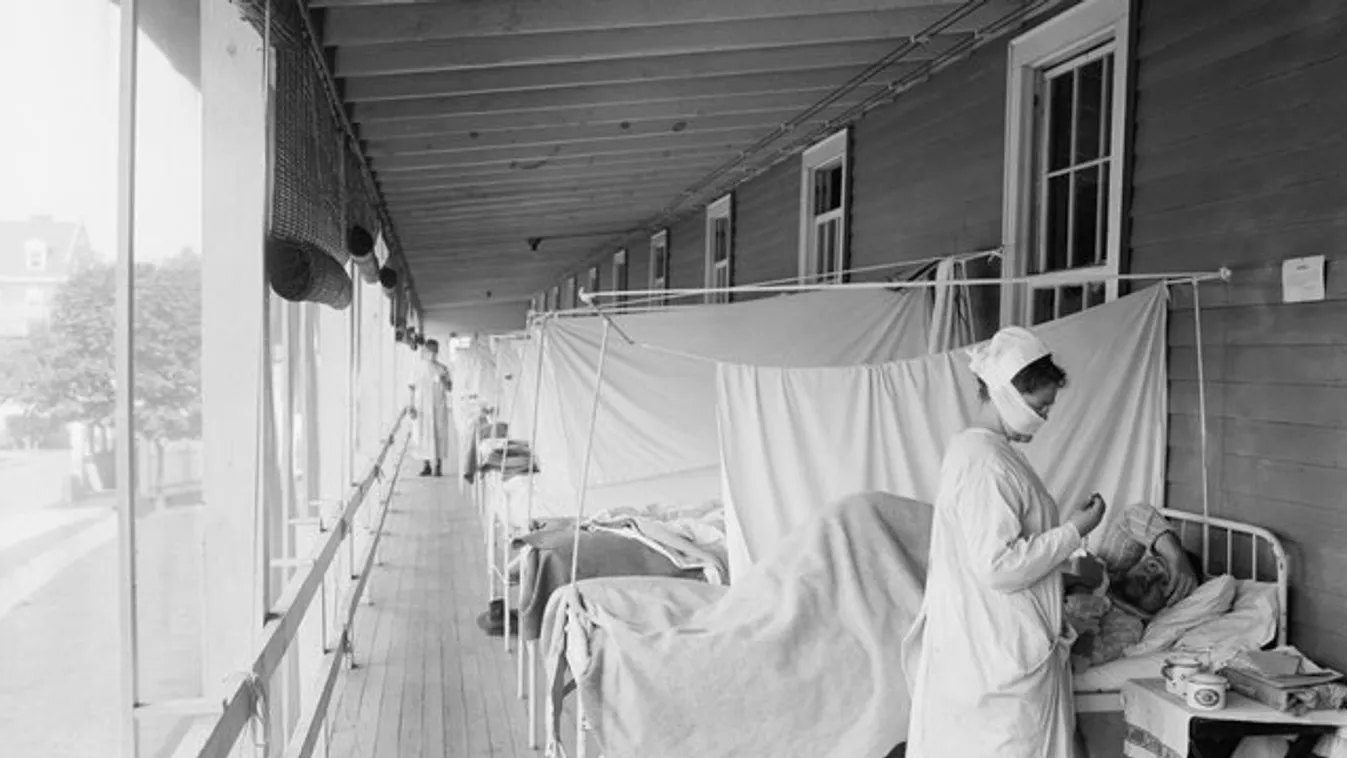 Háborús szakács lehetett a spanyolnátha első betege