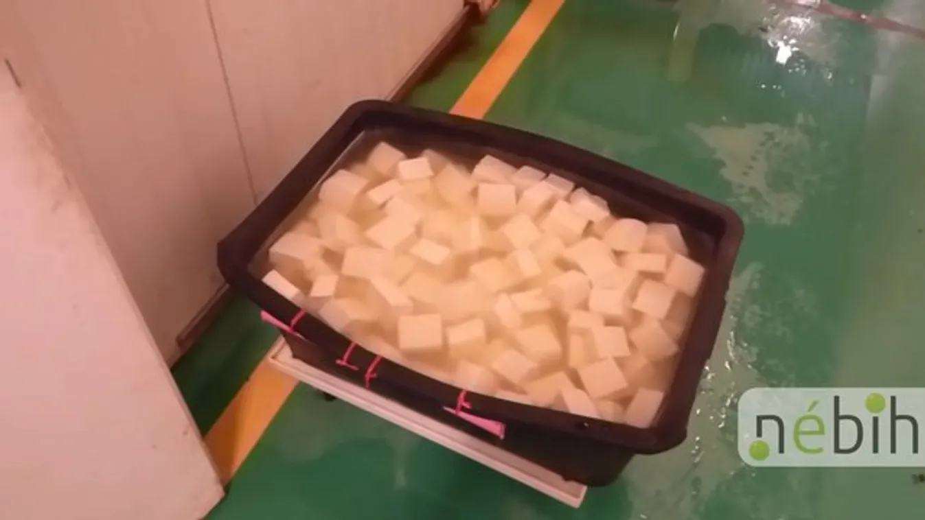 Rágcsálóürülékkel szennyezett tofugyárat záratott be a Nébih