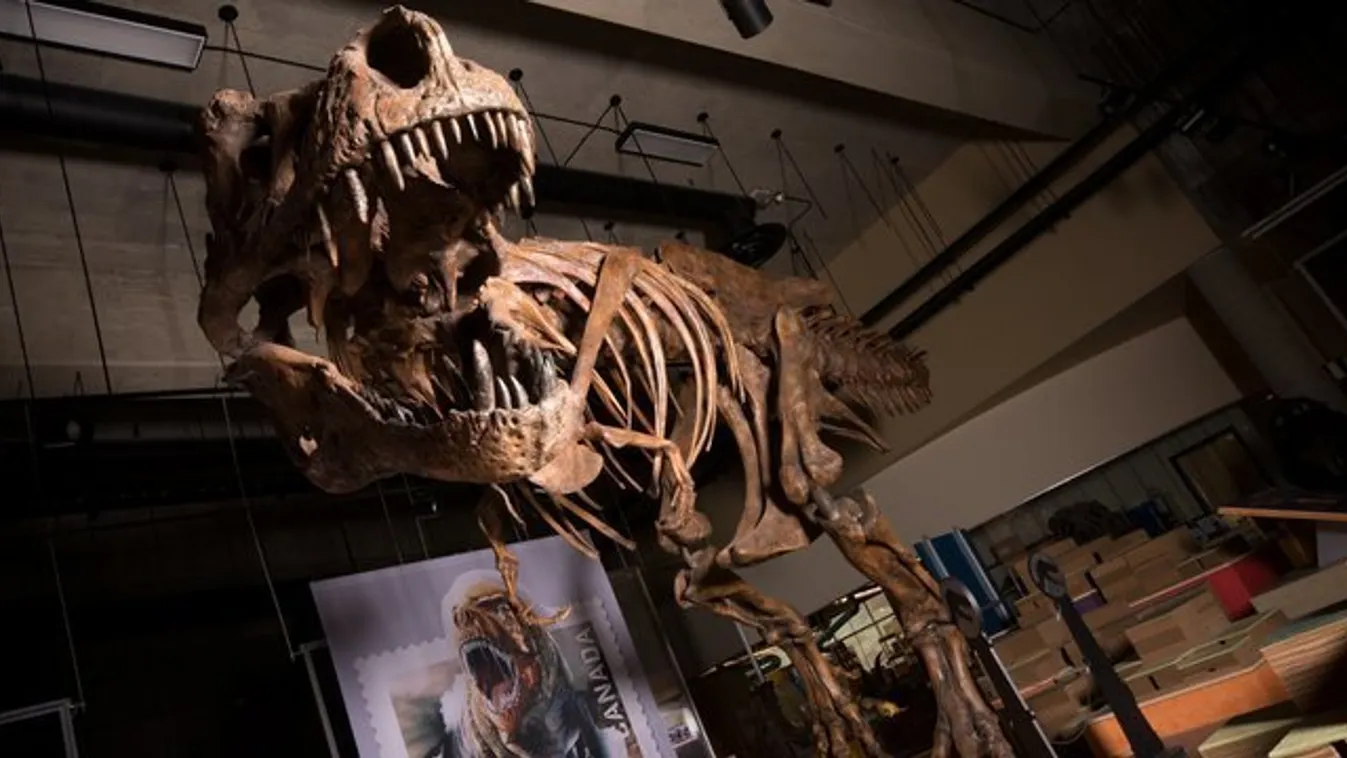 Tíz kilométer átmérőjű aszteroida pusztíthatta ki a dinoszauruszokat