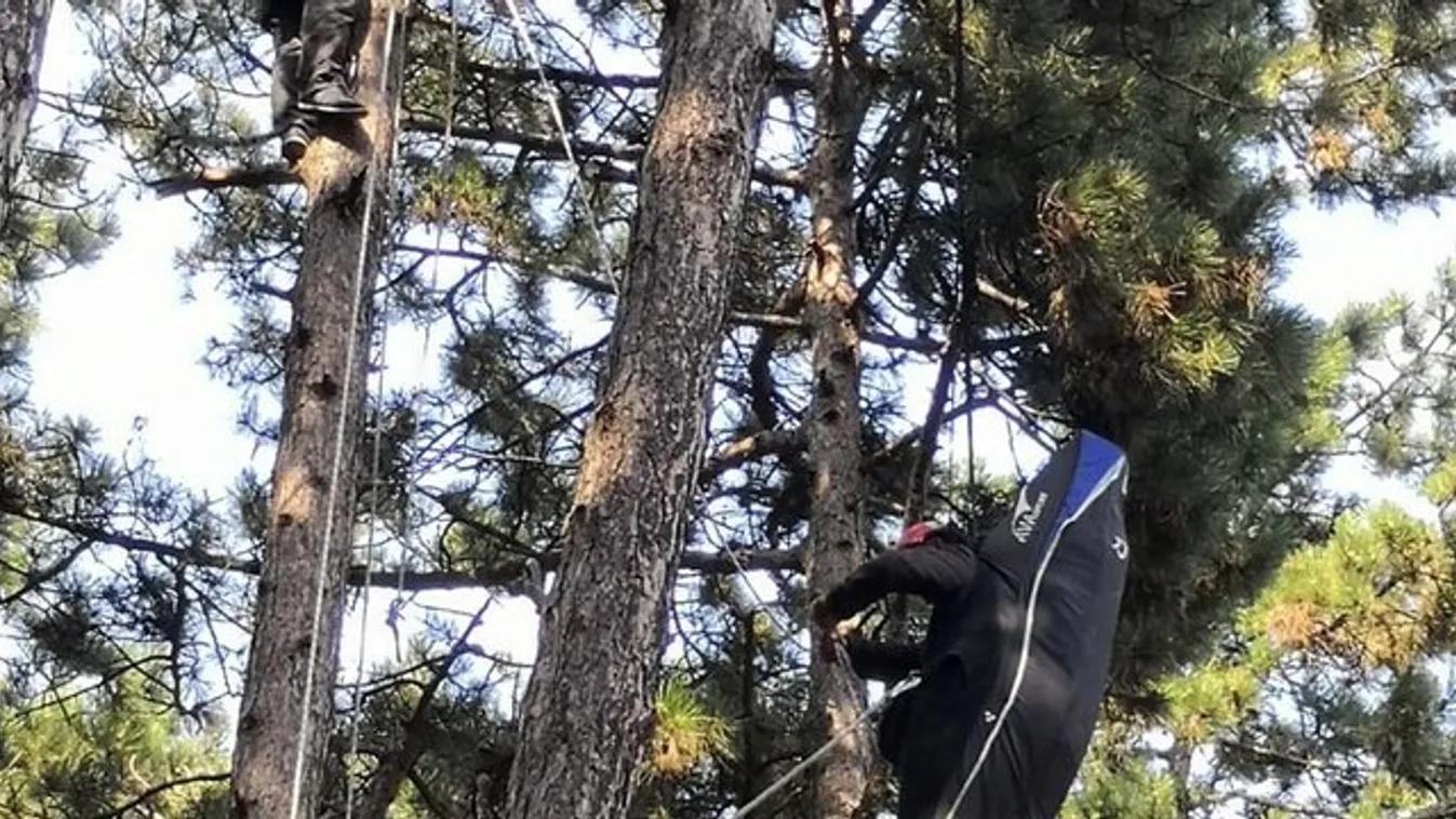 Alpinista segítsége kellett egy sátoraljaújhelyi mentéshez