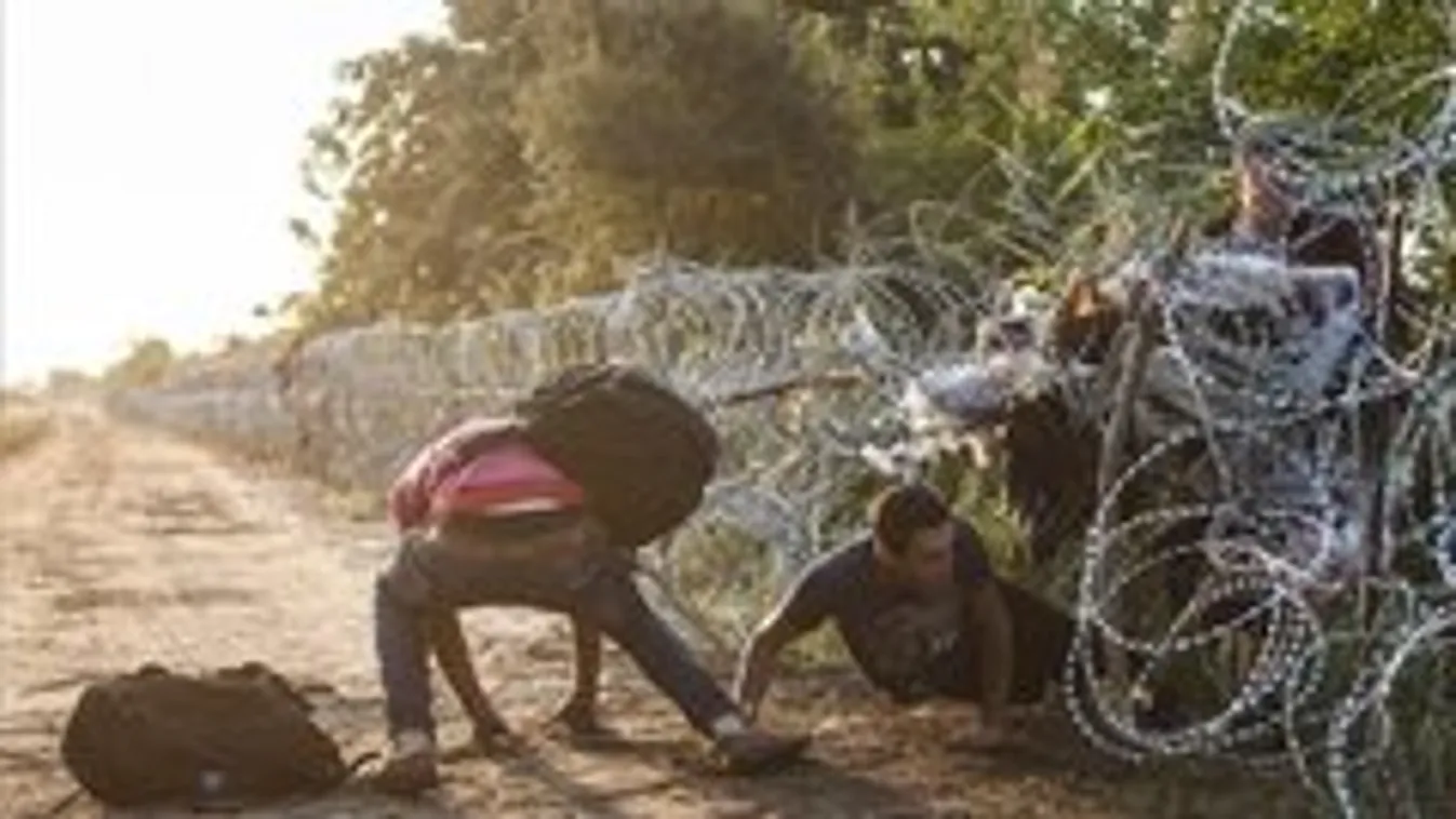 Elképesztő jelenetek: téglával dobálták a magyar rendőröket a migránsok a szerb-magyar határnál
