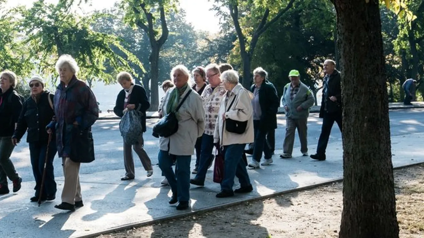 Napi legalább félóra séta kell időskorban is!