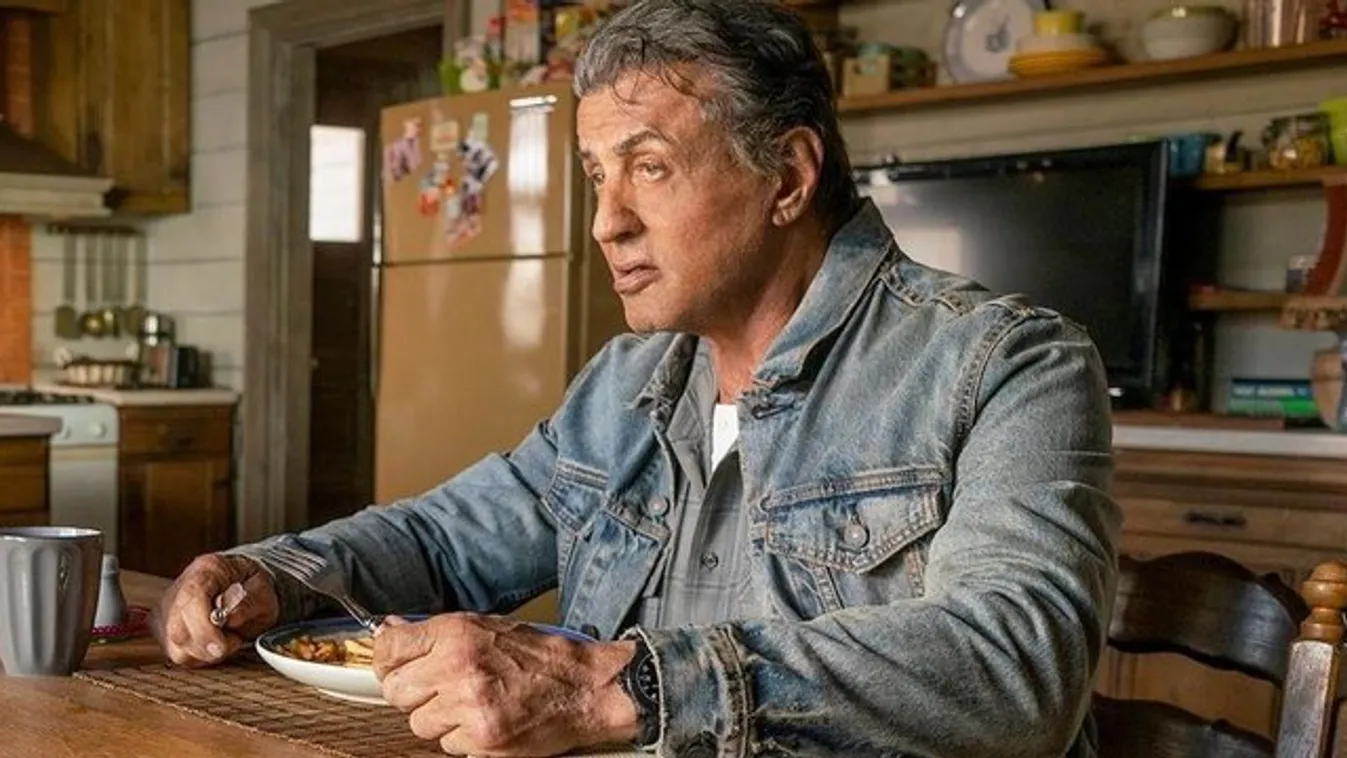 Arany Málna díj: Az év legrosszabb színésze lehet Stallone