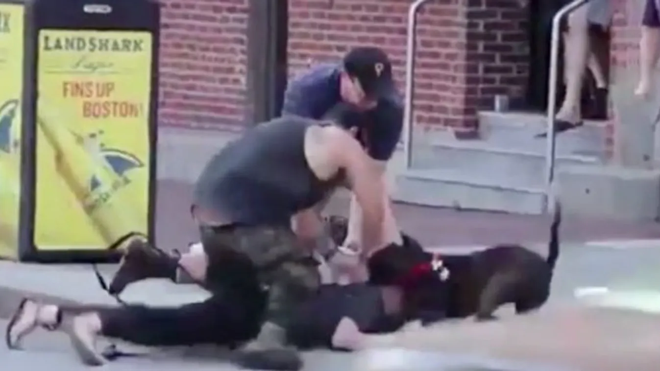 Horror: a pitbull bepöccent az utcán – videó (18+)
