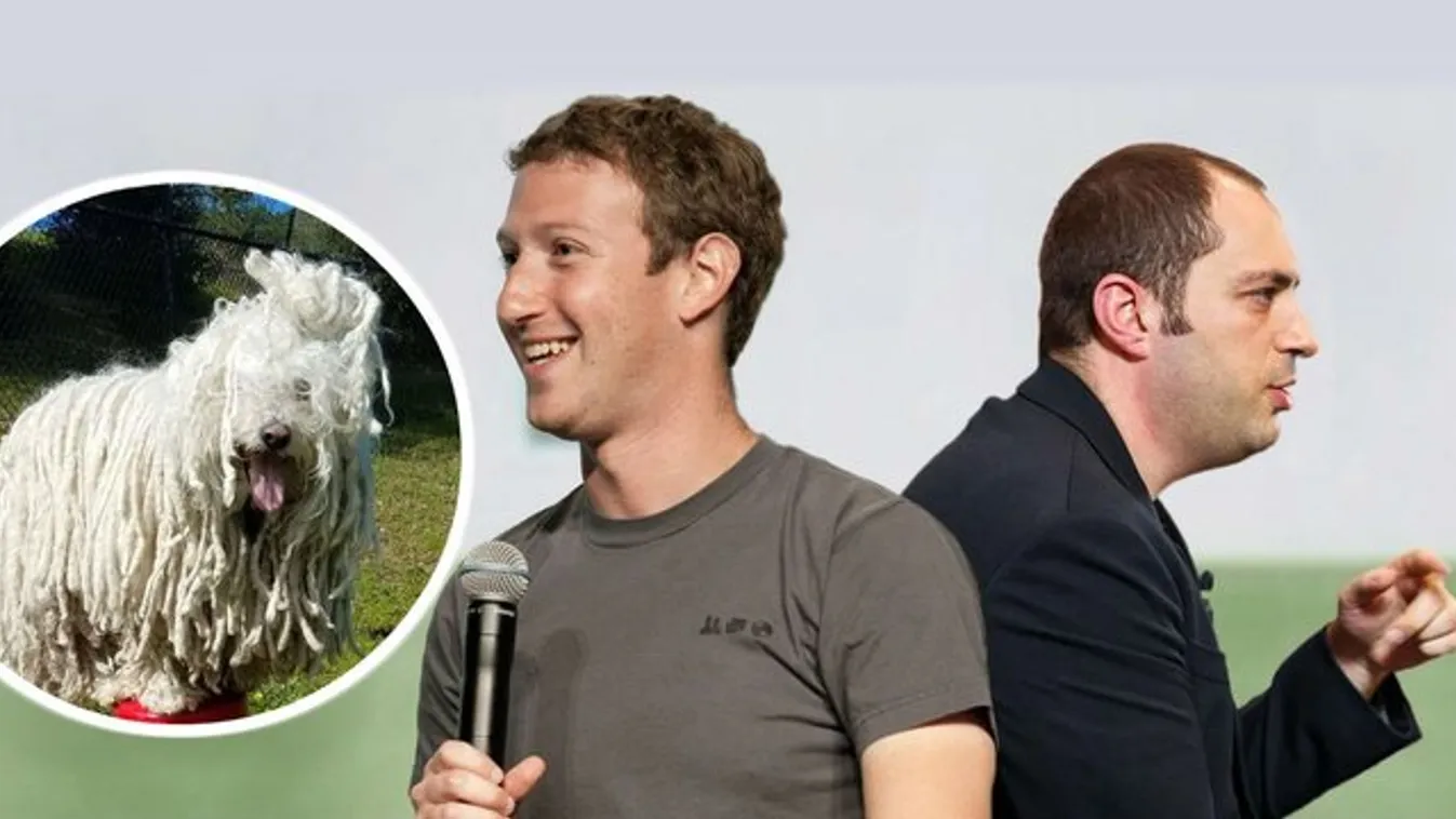 Milliárdos üzletet hozott a Facebook atyjának a magyar puli