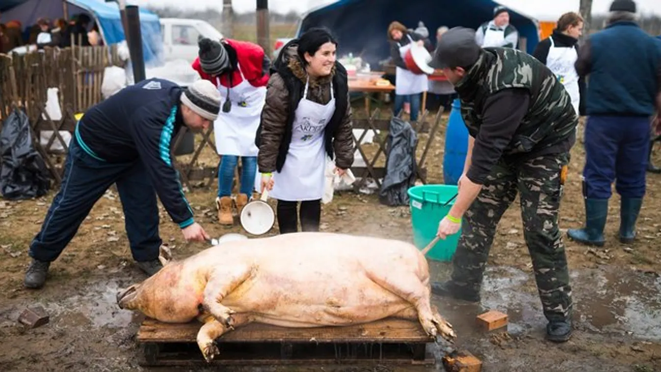 Enyhe télben mérgezhet a disznótoros