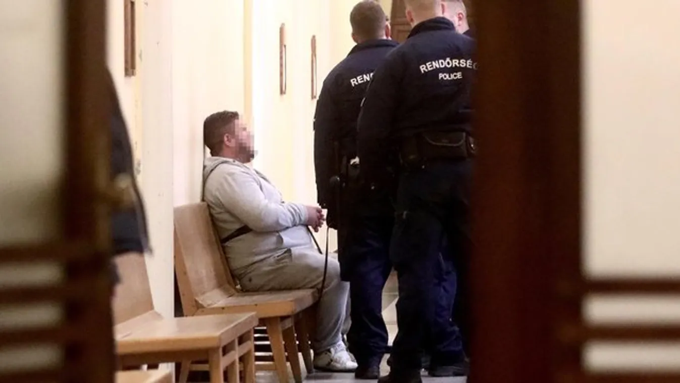 Ámokfutó Erdőkertesen – Pánikroham tört a rendőröket megszúró Lászlóra