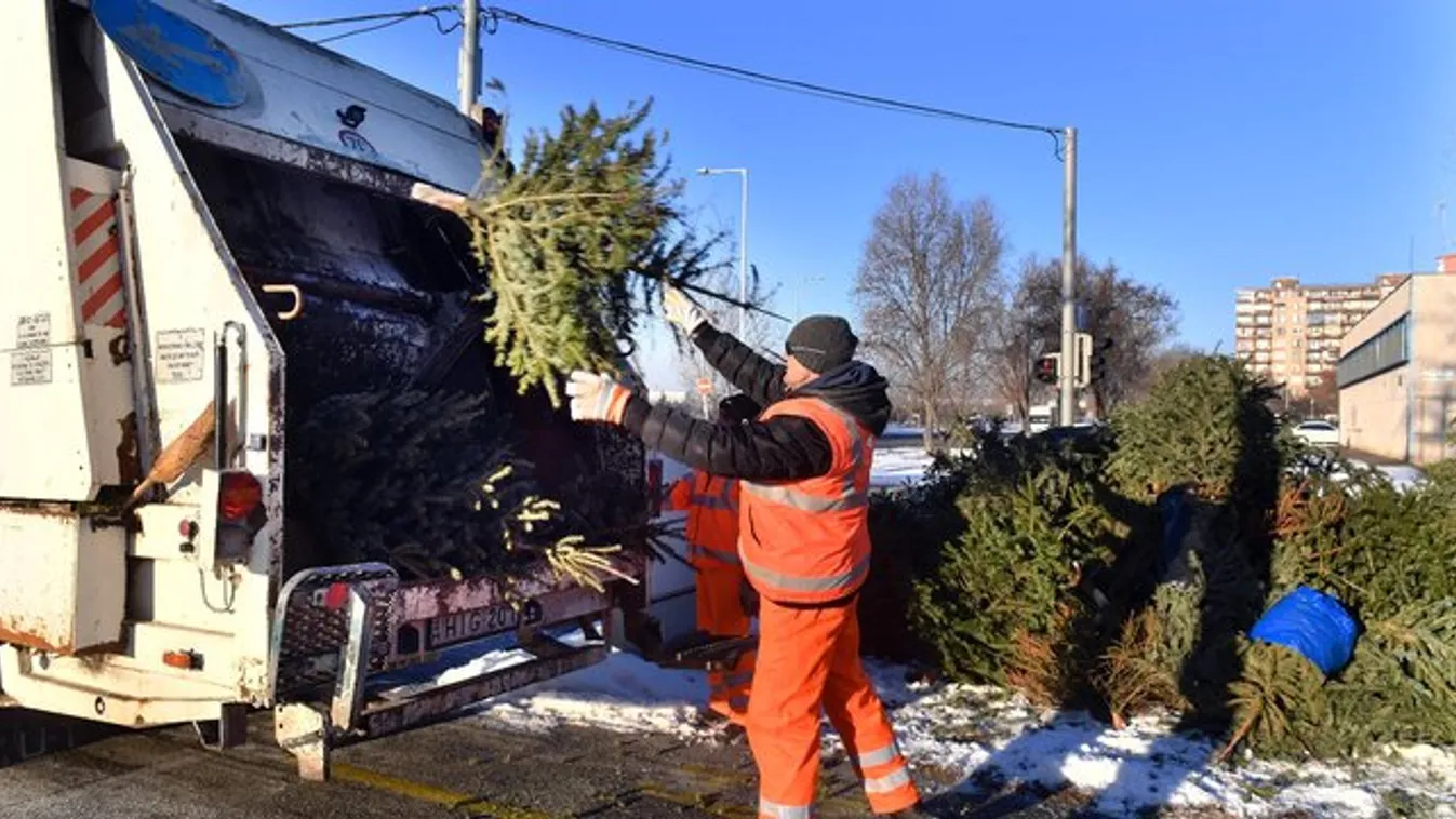 Egy falut is felfűtenek az eldobott karácsonyfákból