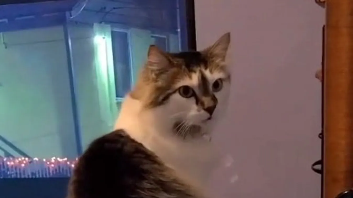 Hátborzongató pillanatokat rögzített a kamera: csak egy szellem képes ilyesmire – videó