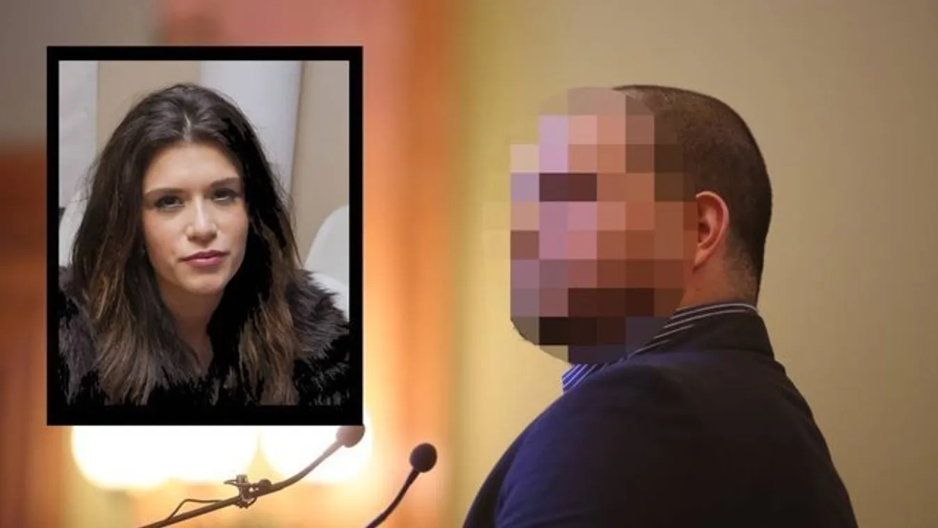 VV Fanni-ügy: Kisfia születése óta még jobban bánja tettét B. László