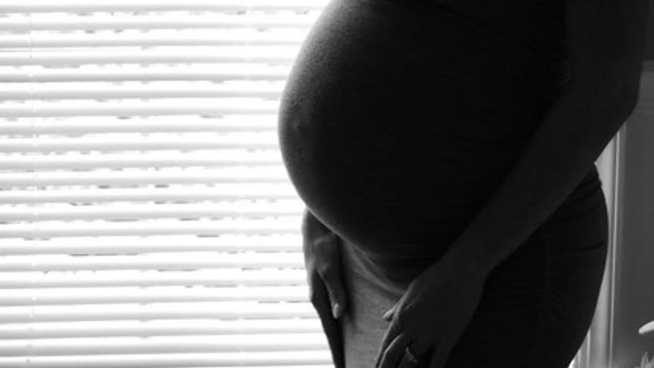 Gyermekével a szíve alatt találták holtan a kismamát a tóban