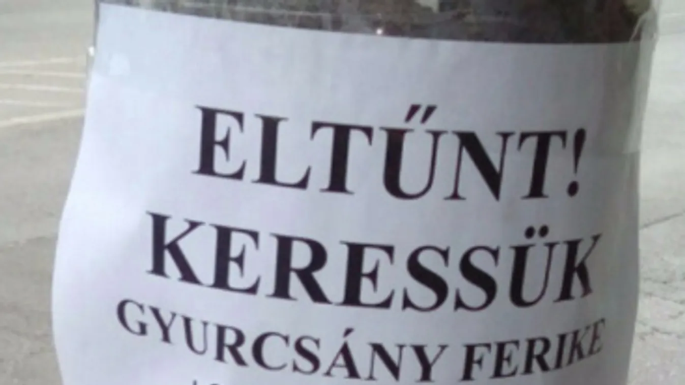 Elütötték Gyurcsány Ferencet