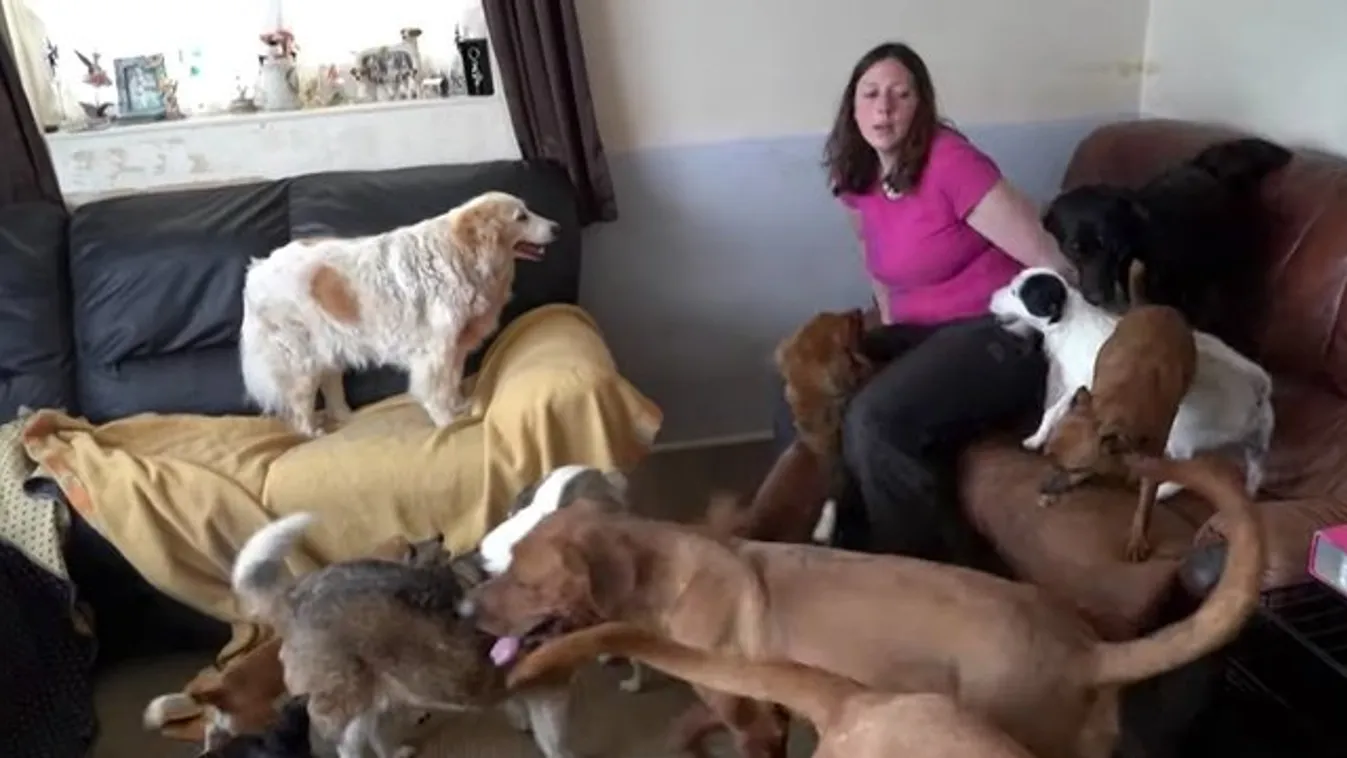 22 kutyájával osztja meg az ágyát: a pasijának már nem maradt hely - videó