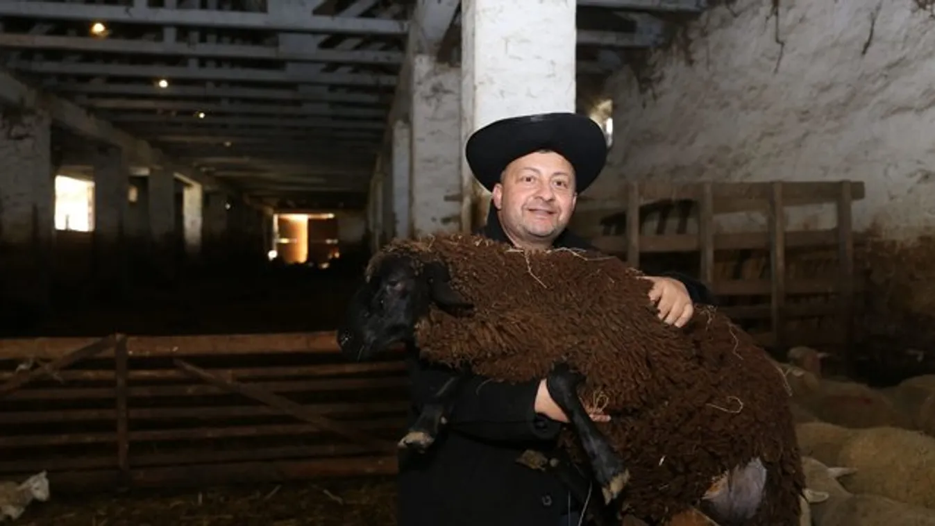 Súlyos beteg Gáspár Zsolti kedvenc birkája