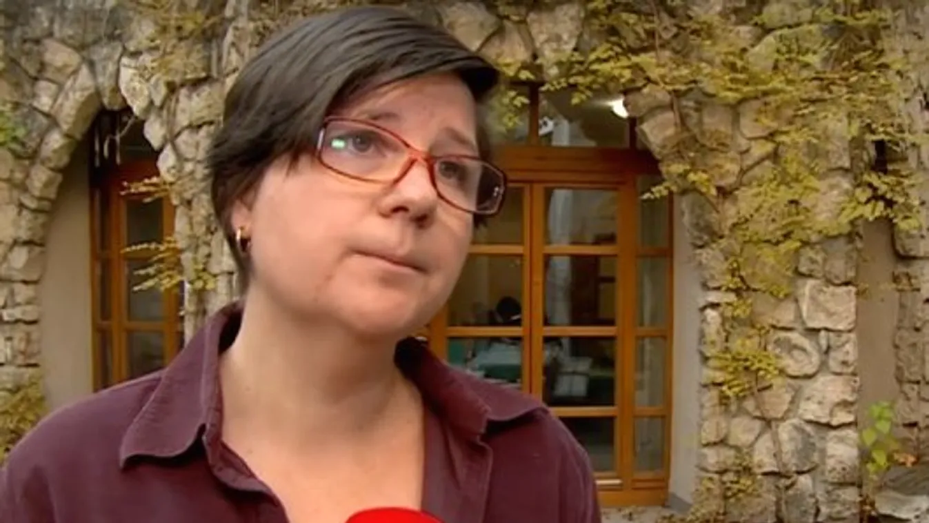 Elégedetlenek a nyomozással a veronai busztragédia áldozatainak hozzátartozói