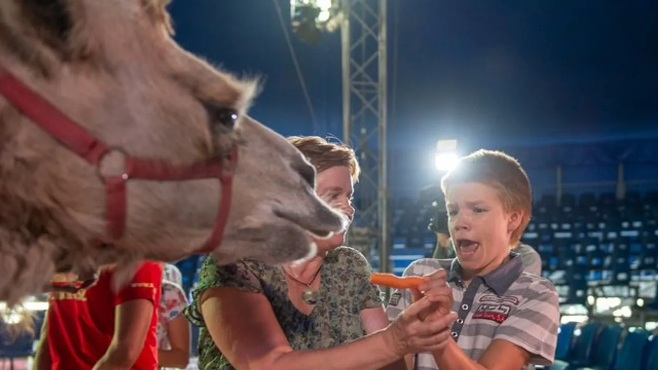 Autista gyerekek simogatták a cirkuszi állatokat