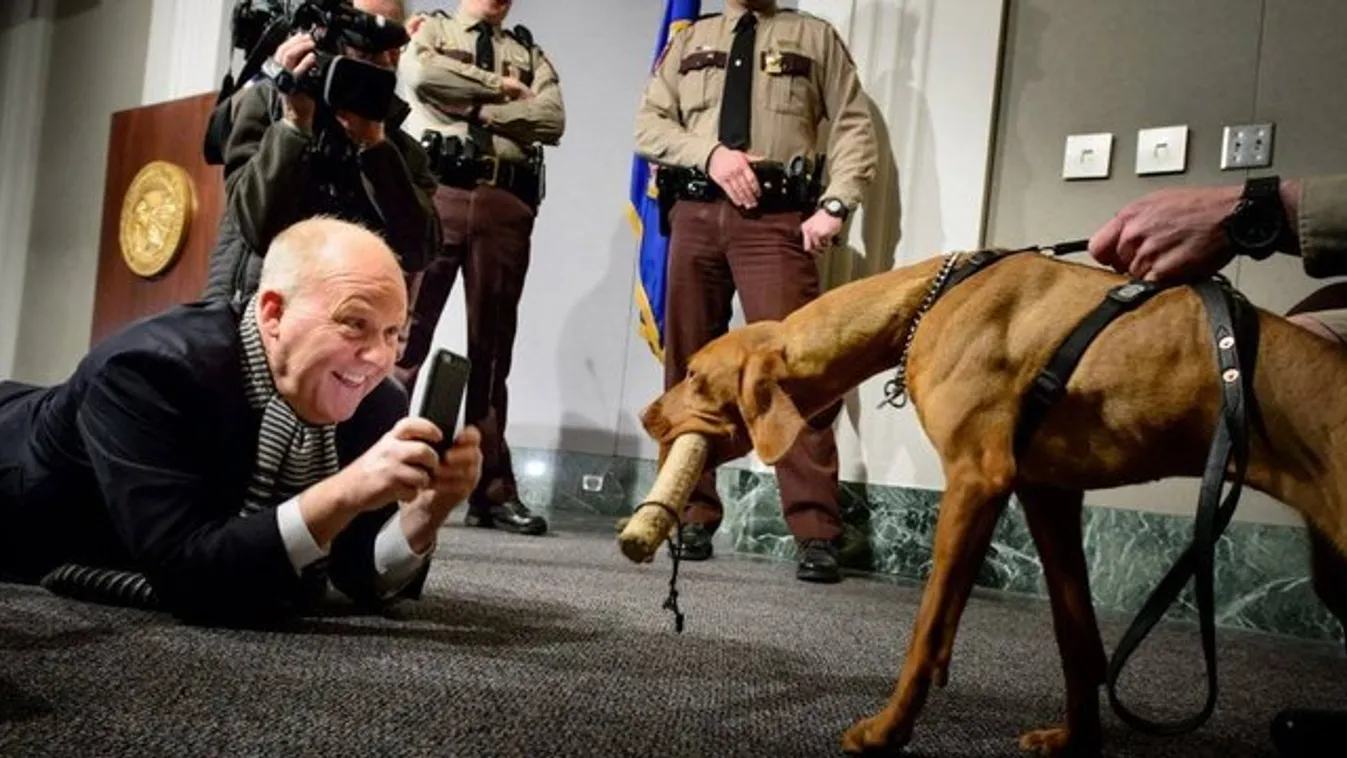 Sztár lett Amerikában: Magyar vizsla őrzi a minnesotai Capitoliumot