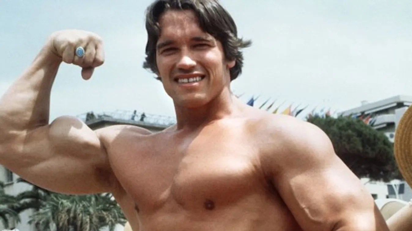 Schwarzenegger magyaroknak hálás: visszakerült az évtizedekkel ezelőtt elkallódott trófea - fotó