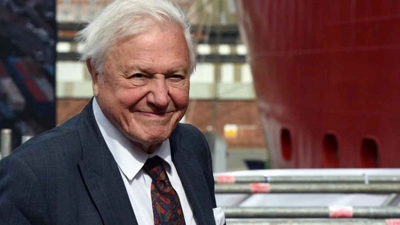 Sir David Attenborough-tól tanulhatnak az angol gyerekek virtuális órákon