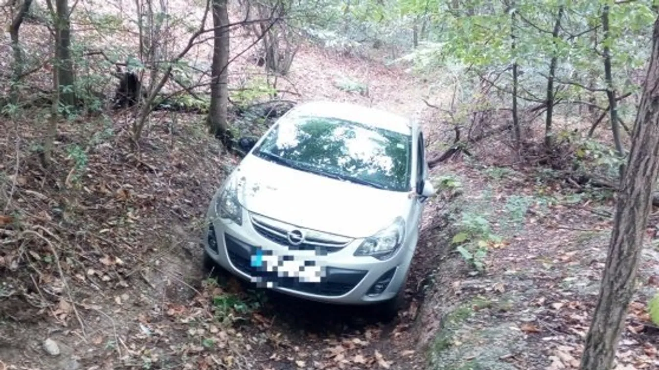 A Soproni-hegységben elakadt az autójával egy idős asszony