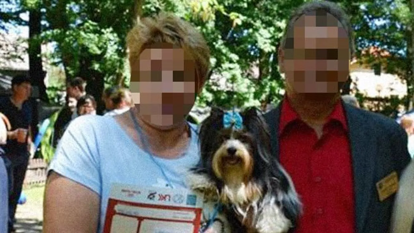 Horror a kutyakiállításon: leszakította a díjnyertes yorki fejét egy másik eb