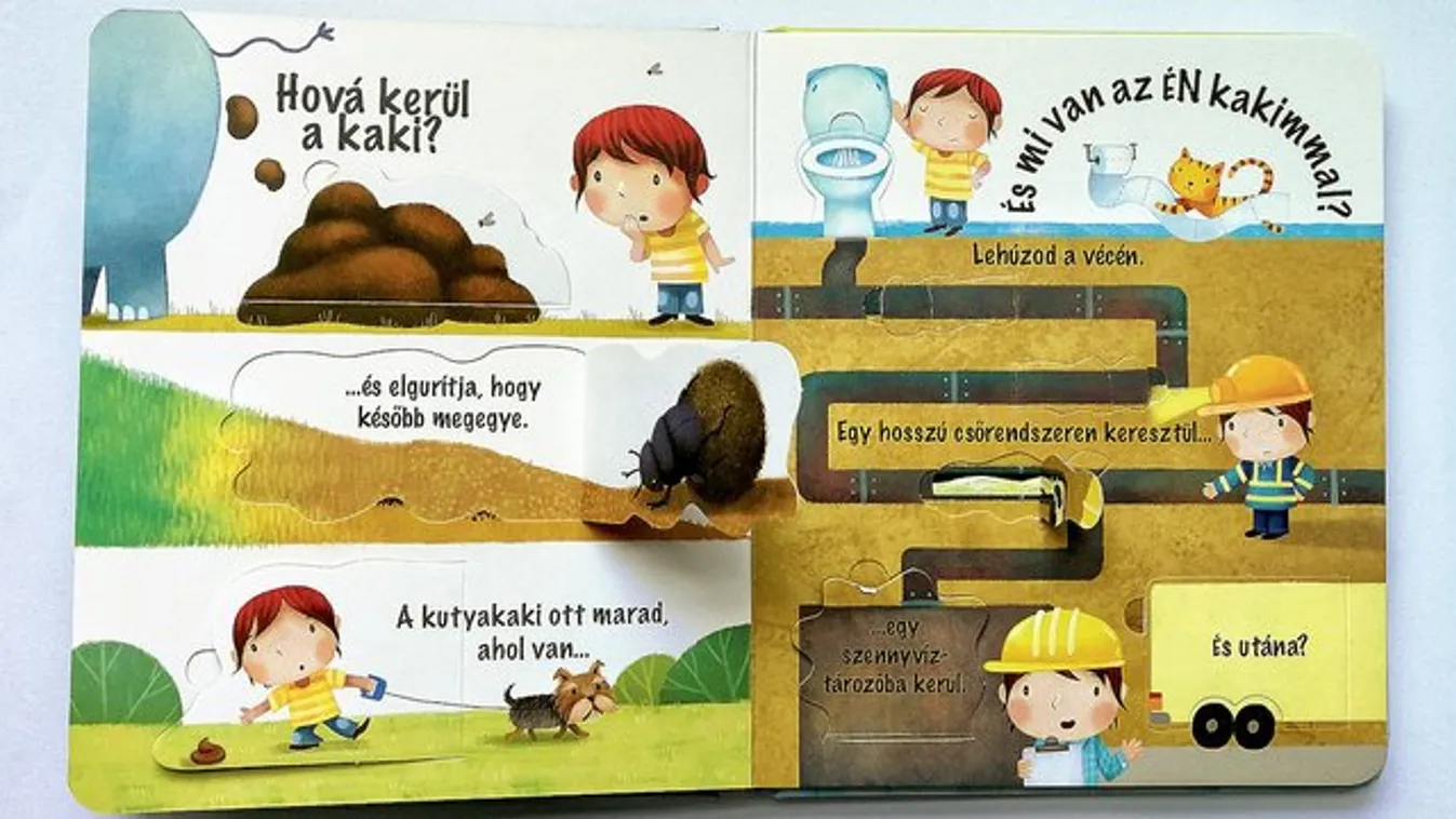 Hiánypótló a kakikönyv?