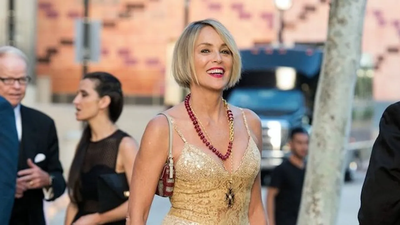Sharon Stone nem talál párt magának