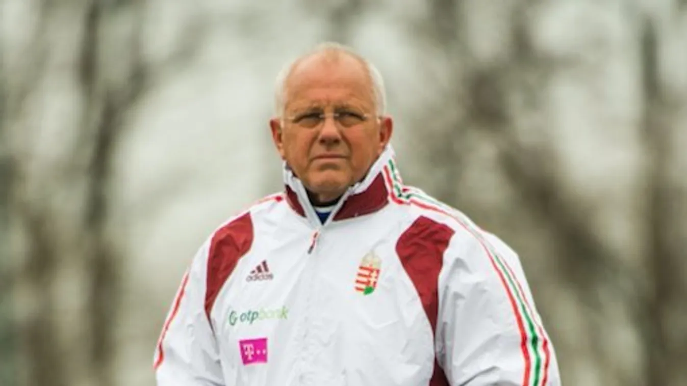 Egervári Sándor: sokáig tart, mire felépülök