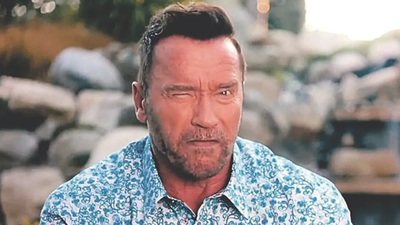 Ilyen cukin köszöntötte Schwarzenegger a szülinapos Linda Hamiltont - fotó