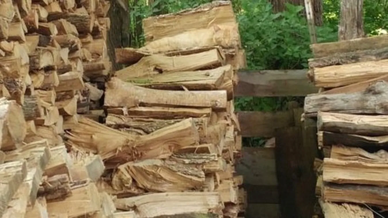 Megtalálja az alvó cicát a képen?