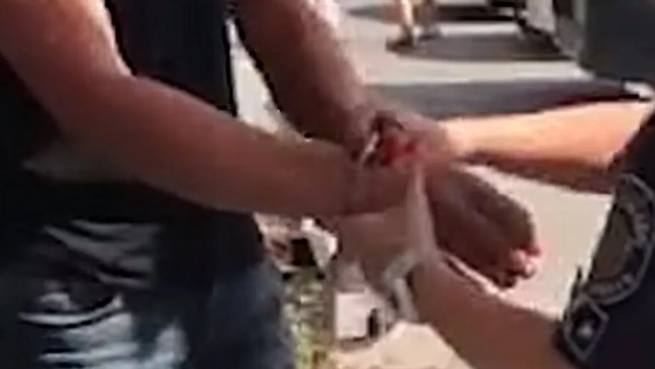 Szatírt fogtak Budakeszin - videó