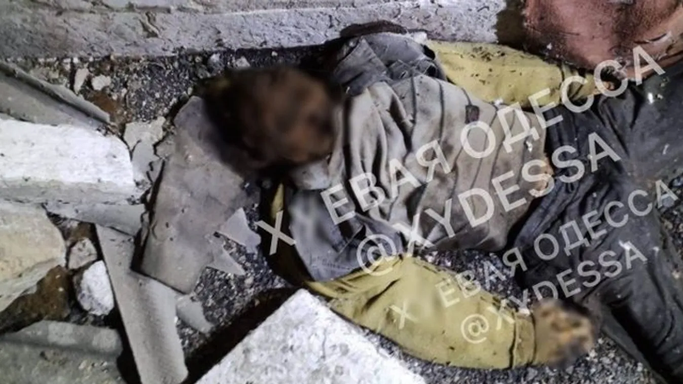 Sokkot kaptak vízmüvek munkatársai: Csontvázat találtak a padláson - +18