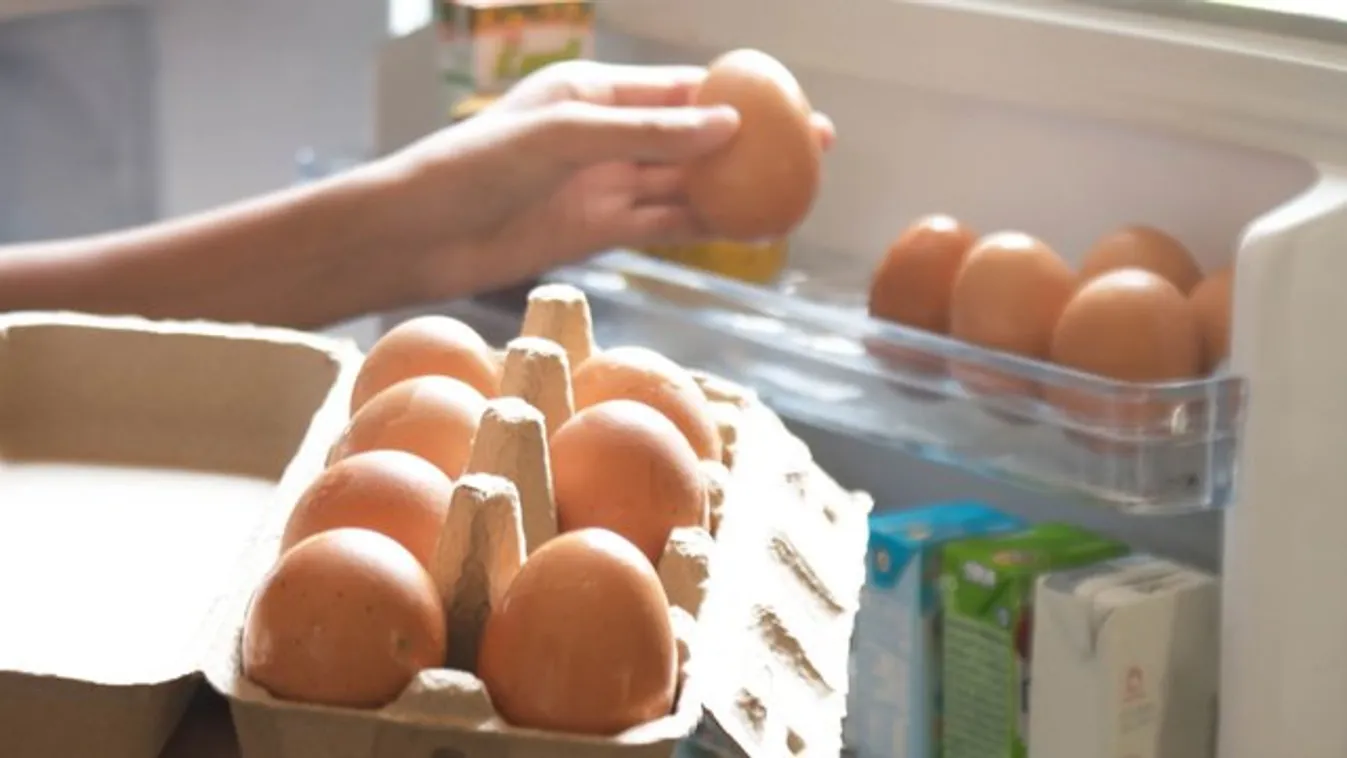 Tudta? Tilos tojást tenni a mélyhűtőbe