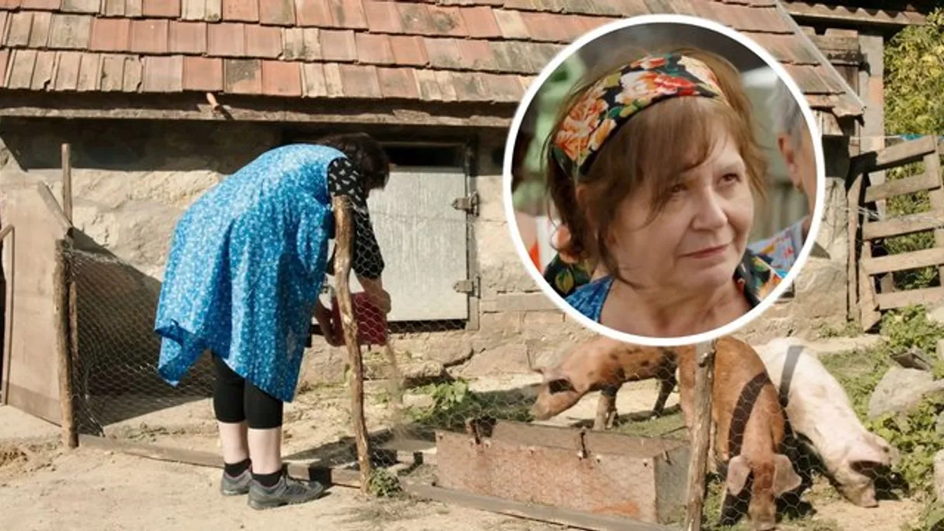 Malacokat nyaraltattak Zsurzs Katiék