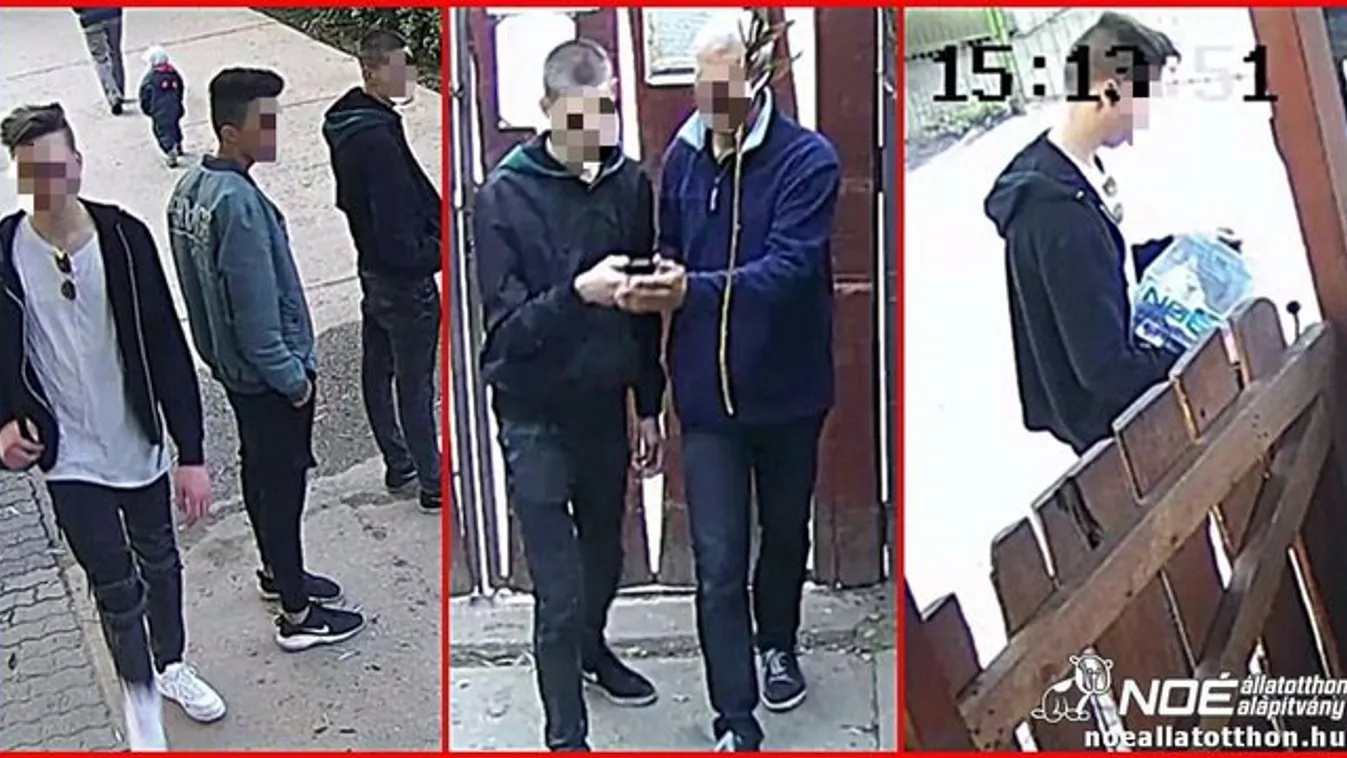 Iskolások lopták el az adományt