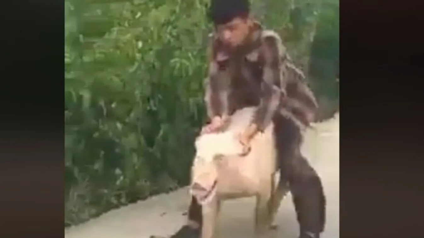 A malacháton versenyző fiataloknál többet nem adhat az internet