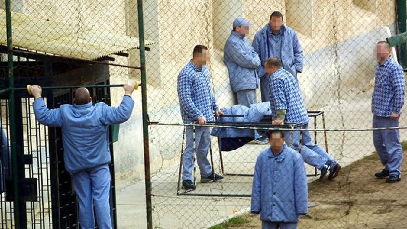 Kis híján egy szál tollal mészárolta le társát a váci rab
