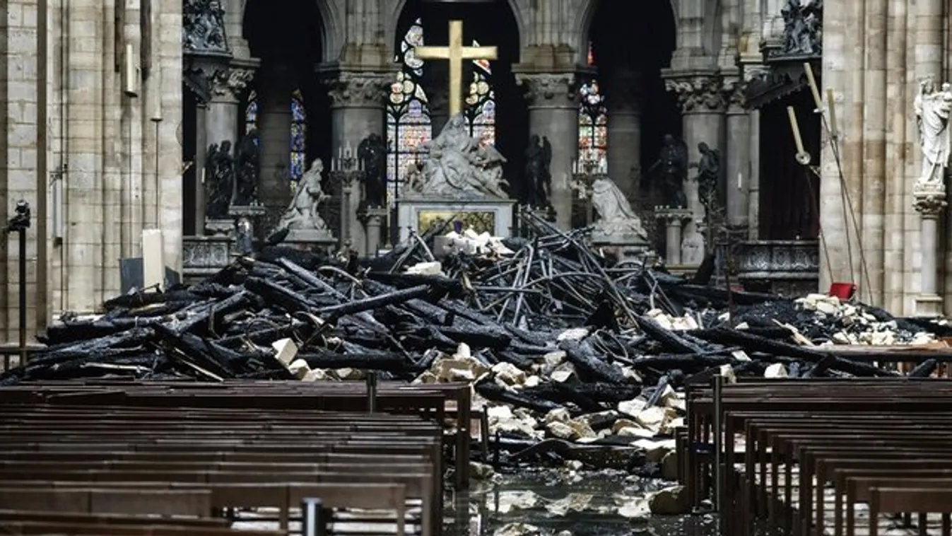 Ezerháromszáz normadiai tölgyet ajánlottak fel a Notre-Dame gerendázatának helyreállításához