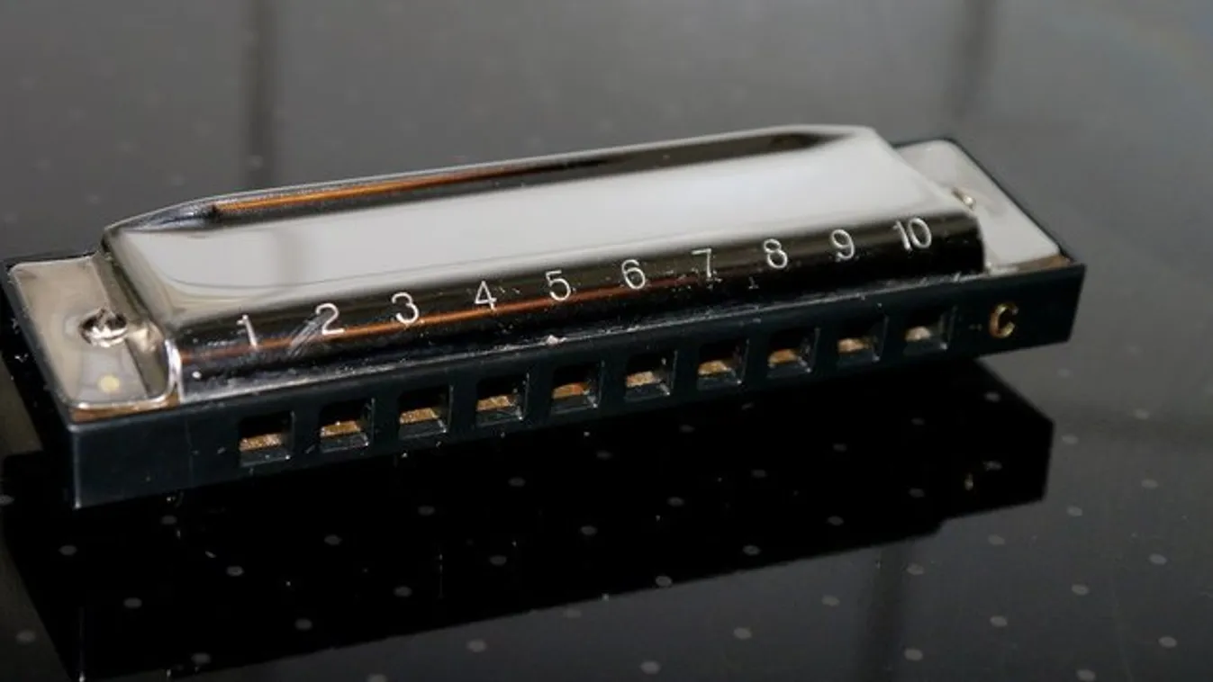 Kis híján megfulladt, de legalább híressé vált a tinilány, aki harmonikát tömött a szájába – videó
