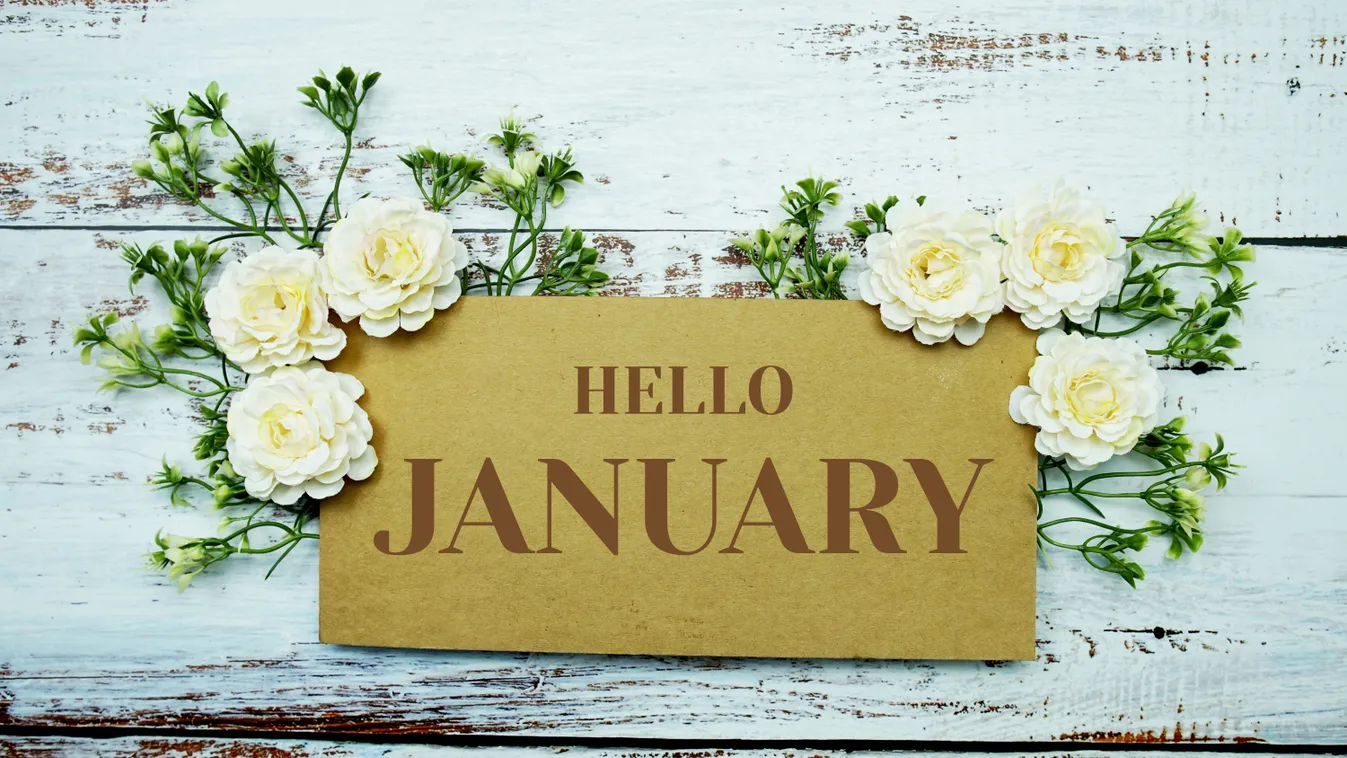 Hello,January,Typography,Text,Decorate,With,Flower,On,Wooden,Background