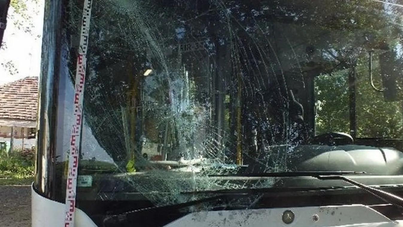 Összetörte a lopott buszt: elfogták a 19 éves elkövetőt - fotók, videó