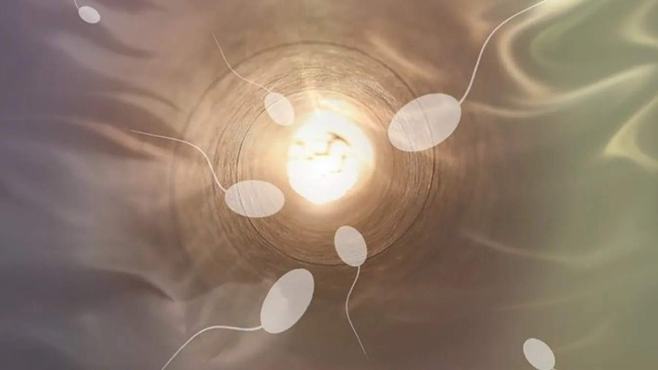 Bizarr, ami kiderült, erre is jó a sperma – Te kipróbálnád?