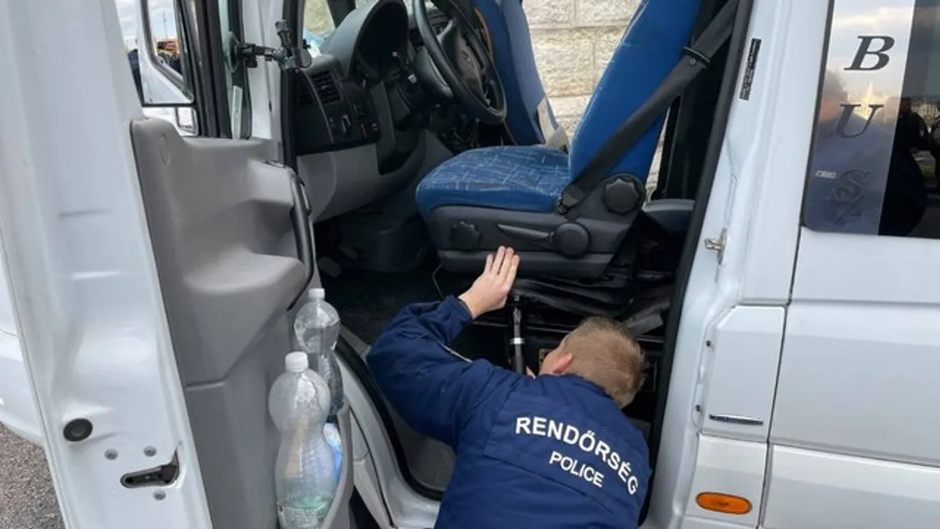 Menet közben esett kígyó a buszsofőr nyakába Budán