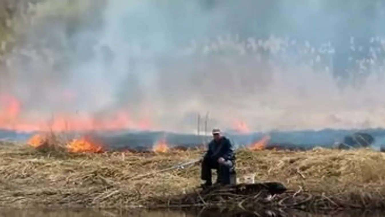 A szeme sem rebbent a pecásnak, miközben égett körülötte a nádas – videó